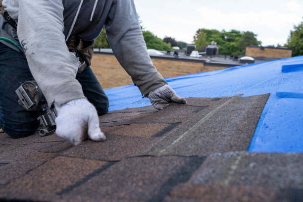 Best Flat Roof Repair Services  in Tuskegee, AL