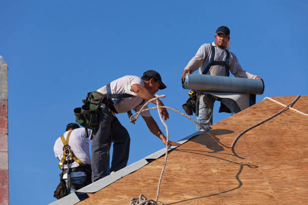 Roof Gutter Cleaning in Tuskegee, AL